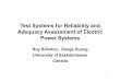 Test Systems for Reliability and Adequacy Assessment of Electric Power Systems