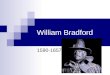 William bradford 1