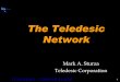 The Teledesic Network[1]