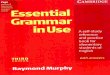 English at Home Perú - Clases de Inglés a domicilio - Essential Grammar in Use
