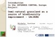 Introduction to the INTERREG CENTRAL Europe Project:Semi-natural grassland as a source of biodiversity improvement - SALVERE