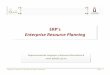 Sistemas ERP enterprise resources planning