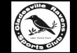 Gladesville Ravens celebrates 50 years of community sport