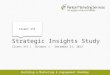 Strategic Insights Study Audience Insights Sample