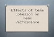 Effects of team cohesion on team performance by michael sydney