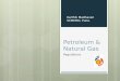 Petroleum & Natural Gas Regulatory Board Act, 2006