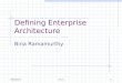Enterprise Architecture Models