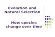 Evolution+and+natural+selection pvms[1]