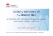 22-Feb-2013 - North - Salinity tolerance of Australian rice cultivars
