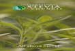 International stevia council brochure