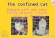 The Confined Cat Part 1: Keeping Safe and Sane - Claire Bessant, Feline Advisory Bureau