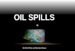 Brandon b and nick w.  oil spills