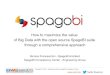How to maximize the value of Big Data with SpagoBI suite through a comprehensive approach, Monica Franceschini, Engineering Group, SpagoBI