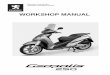 Peugeot Geopolis 250 Workshop Manual