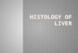 Histology of liver by aravindh dpi