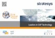 Stratesys - Leaders in SAP Technology - HOR - 2014