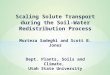Soil-Water Flow and Solute Transport during Redistribution