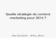 Quelle Stratégie de Content Marketing pour 2014 ?
