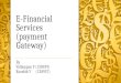 E financial services (payment gateway)
