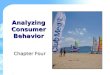 Analyzing Consumer Behavior