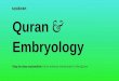 Embryology and the Quran