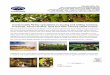 InvestorsAlly Realty wineries and vineyards property flyer