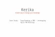 Kerika: A Case Study of a Project Management Office at Treinen Associates