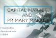 Capital market and primary market