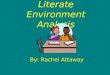 Literate Environment Analysis