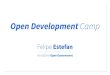 New Frontiers of Open Development - Felipe Estefan, World Bank