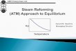 Steam Reforming - (ATM) Approach to Equilibrium