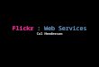 Flickr Services