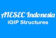 AIESEC Indonesia |1314| iGIP Structures