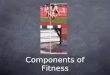 Components of fitness