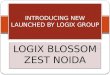 Logix Blossom Zest