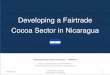 Developing a Fairtrade Cocoa Sector in Nicaragua (Slides)