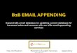 Build solid Business relations Through Business Email Appending