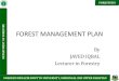 Forest management plan