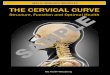 The Cervical Curve: Structure, Function and Health