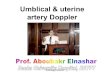 Umblical & uterine artery Doppler