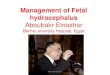 Management of Fetal hydrocephalus