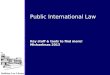 Public international law 2013