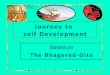 Journey to sef development