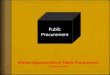 Black box of public procurement ireland
