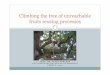 Climbing the tree of unreachable fruits, reusing processes