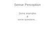 ToK presentation on sense perception 2013