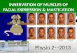 INNERVATION OF FACIAL MUSCLES OF EXPRESSION AND MMASTICATION MADE SIMPLE