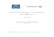Sap Systems Integration Master Thesis1