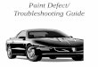 Paint Defect Guide