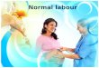 Introduction to Normal Labour